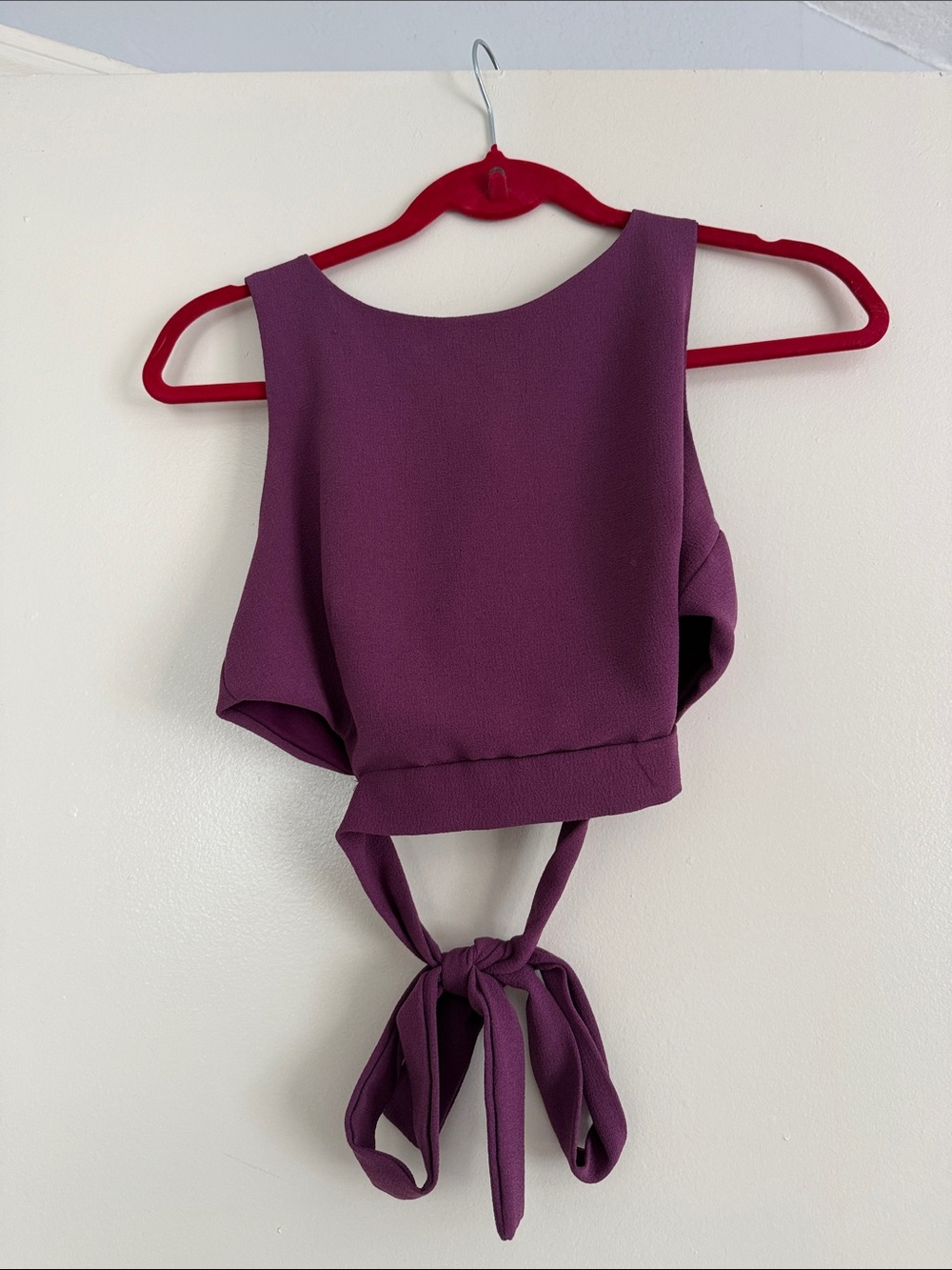 Nasty Gal Plum Tie-Back Crop Camisole